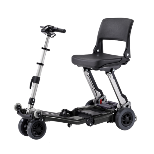 Freerider Luggie Standard