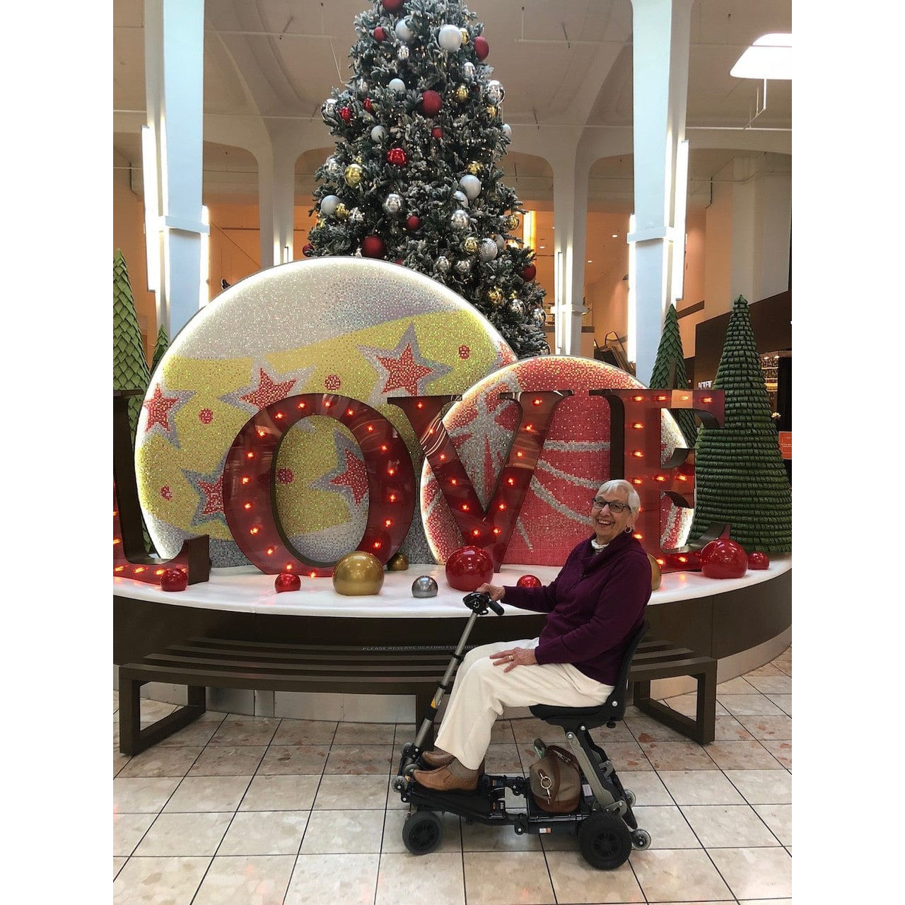 FreeRider Luggie Standard Folding Travel Scooter