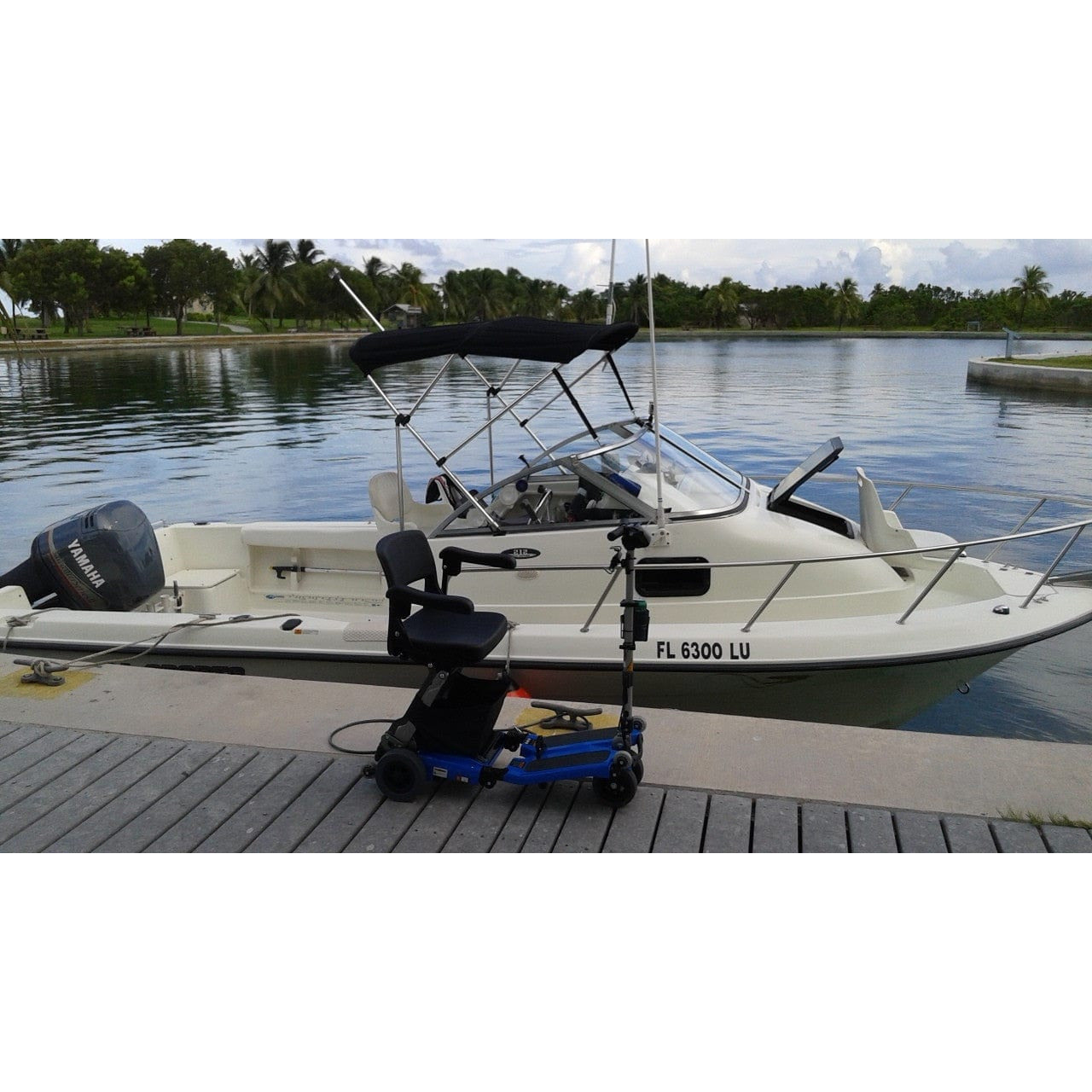 FreeRider Luggie Standard Folding Travel Scooter